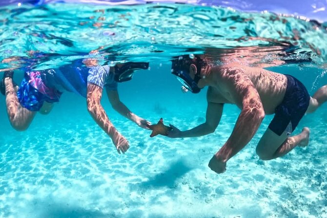 Nassau: 3 islands Pigs,Turtles,Snorkel & Beach Club with lunch - What This Nassau Boat Tour Really Tries to Do