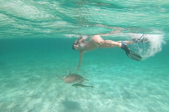 Nassau 3-stops: Snorkeling, Swimming Pigs, Turtles & Lunch - Lunch, rum punch, and the quiet middle of the day