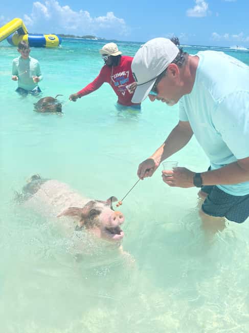 Nassau: 4-Island Tour Swimming Pigs, turtles, snorkeling - Snorkeling above a protected coral reef