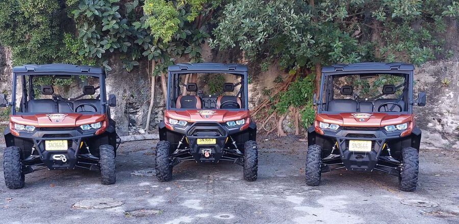 Nassau: 6-Seater Buggy Rental - Who will enjoy this, and who will not