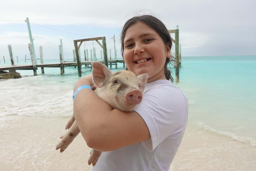 Nassau ATV & Swimming Pigs Tour - One Nassau day, two very different experiences