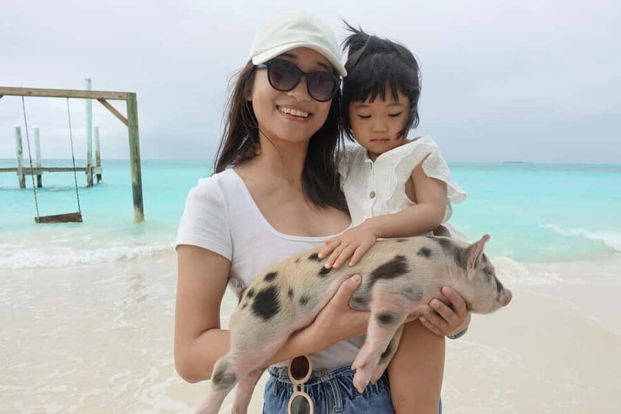 Nassau ATV & Swimming Pigs Tour - Forts, stairs, and Nassau’s story