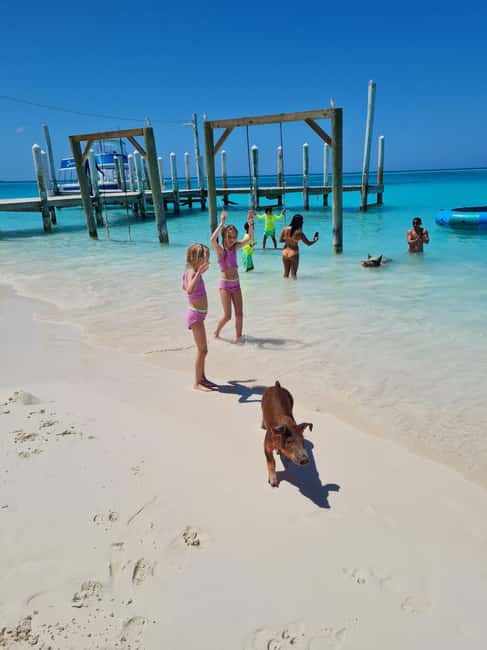 Nassau ATV & Swimming Pigs Tour - Arawak Cay and the conch salad stop