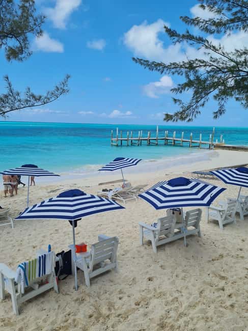 Nassau ATV & Swimming Pigs Tour - Is $280 per person a fair price?