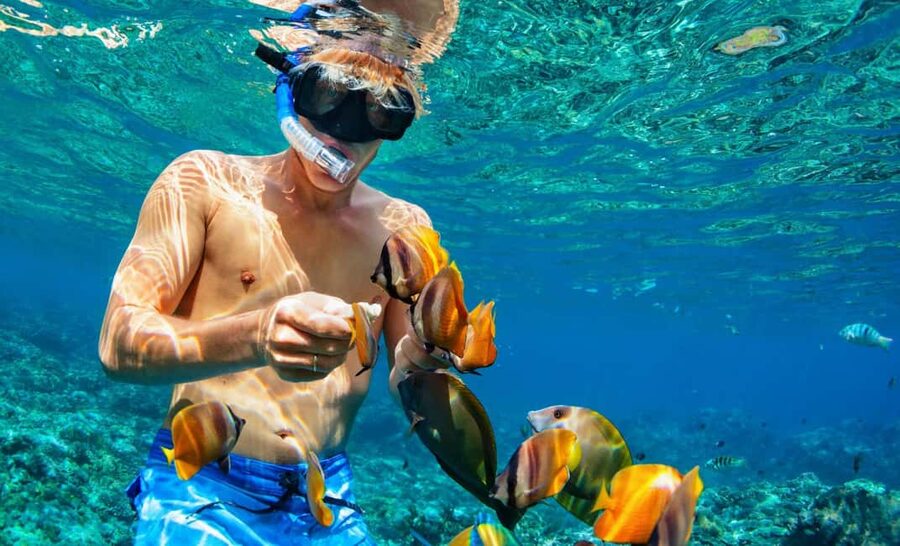 Nassau: Catamaran Sail and Snorkel Tour - Who will enjoy this Nassau boat trip?