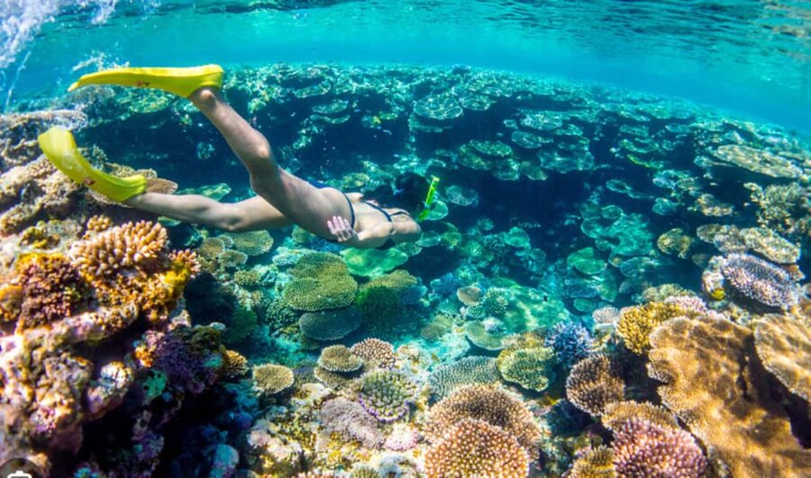 Nassau: Catamaran Sail and Snorkel Tour - FAQ