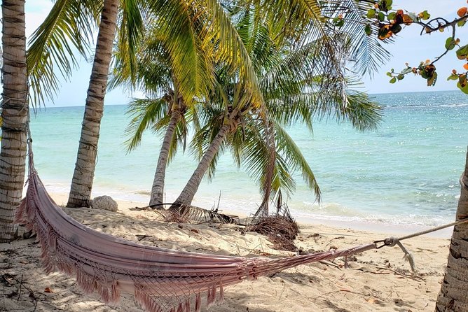 Nassau City Tour: 7 Attractions in the Bahamas - John Watling’s Distillery and the tasting stop