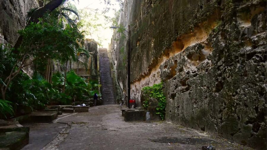 Nassau City Tour: Discover the Charms of Old Charles Town - What the guides add