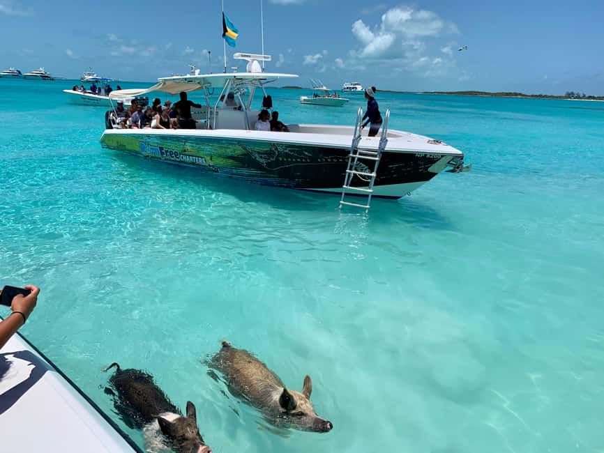 Nassau: Discover Exuma Island Hopping and Swimming Pigs Tour - From Paradise Island to the Exuma Cays