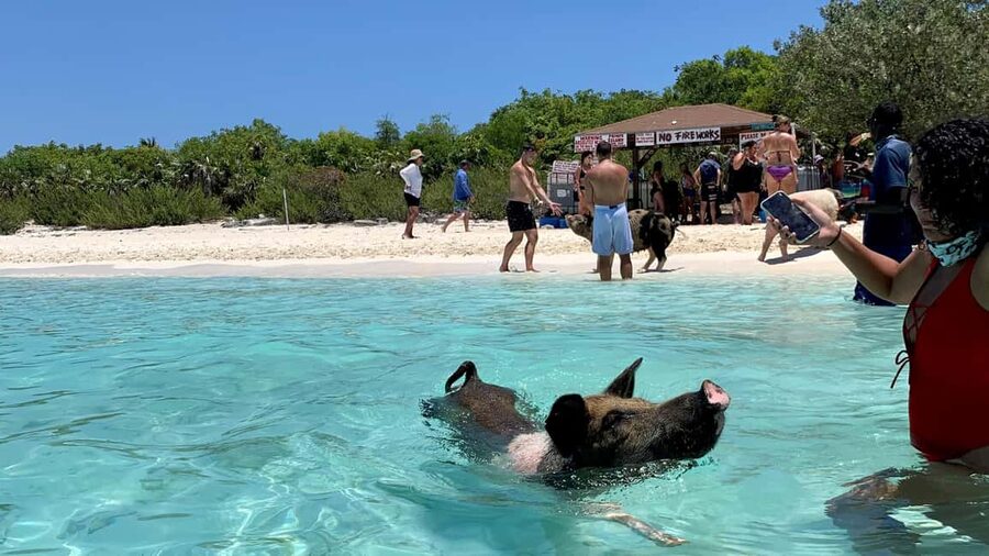 Nassau: Discover Exuma Island Hopping and Swimming Pigs Tour - Buffet lunch at a local Exuma restaurant