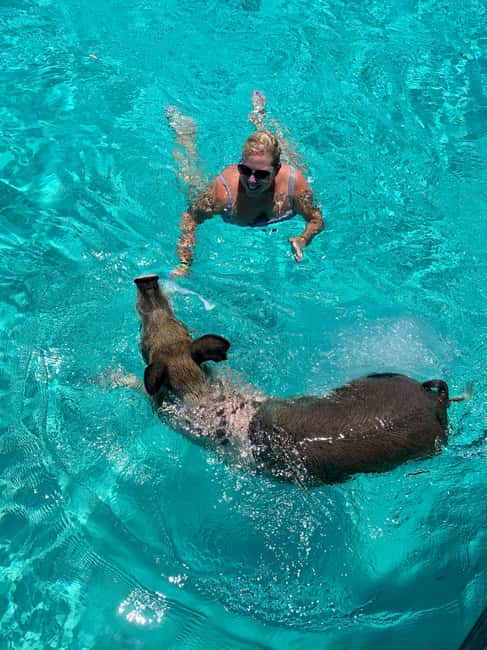 Nassau: Discover Exuma Island Hopping and Swimming Pigs Tour - How to prepare for the boat day