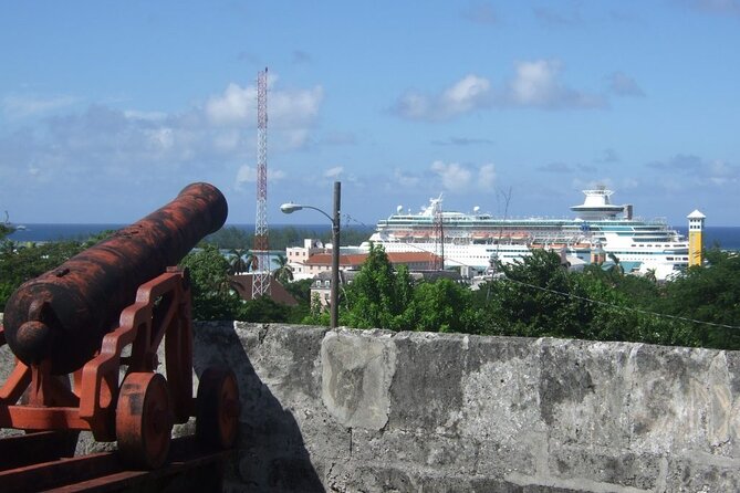 Nassau Family Friendly City Tour - Rum cake and complimentary samples