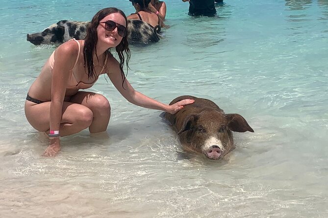 Nassau: Half Day Reef Snorkeling, Turtles & Swimming Pigs - Key Points Before You Book