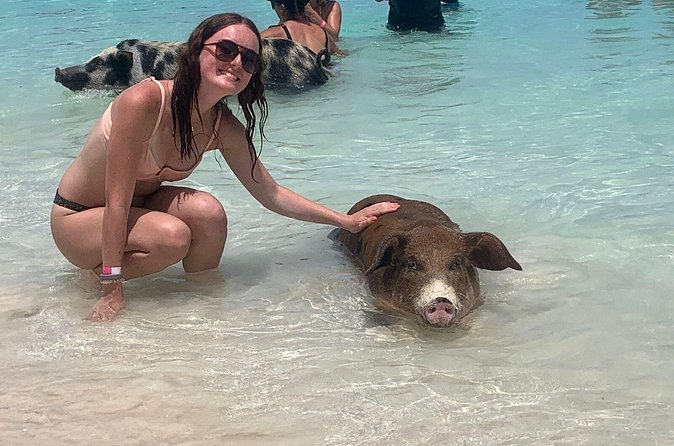 Nassau: Half Day Reef Snorkeling, Turtles & Swimming Pigs - Is $210 Per Person Good Value?