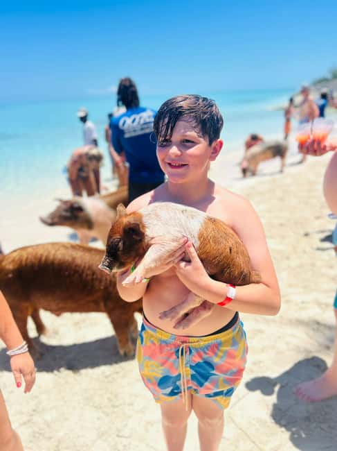 Nassau: Half-Day Swimming Pigs, Reef Snorkel & Beach Club - Practical Tips for a Better Day