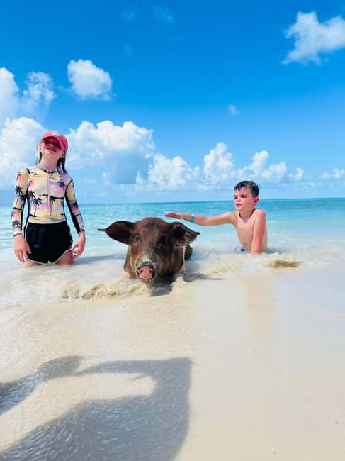 Nassau: Half-Day Swimming Pigs, Reef Snorkel & Beach Club - Starting Near Montague Beach
