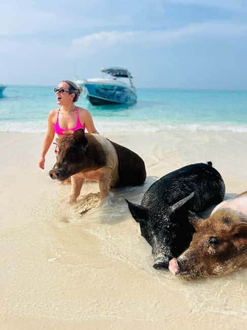 Nassau: Half-Day Swimming Pigs, Reef Snorkel & Beach Club - Turtle Watching at Green Cay