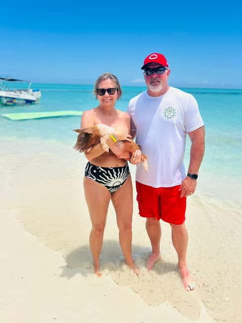 Nassau: Half-Day Swimming Pigs, Reef Snorkel & Beach Club - Is $189 a Fair Price?