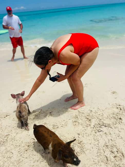 Nassau: Half-Day Swimming Pigs, Reef Snorkel & Beach Club - Who Will Enjoy This Four-Hour Outing