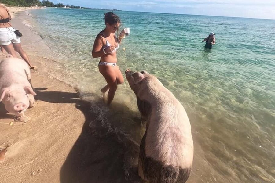 Nassau: Island Hopping Boat Trip with Lunch & Drinks - What lunch and drinks really mean