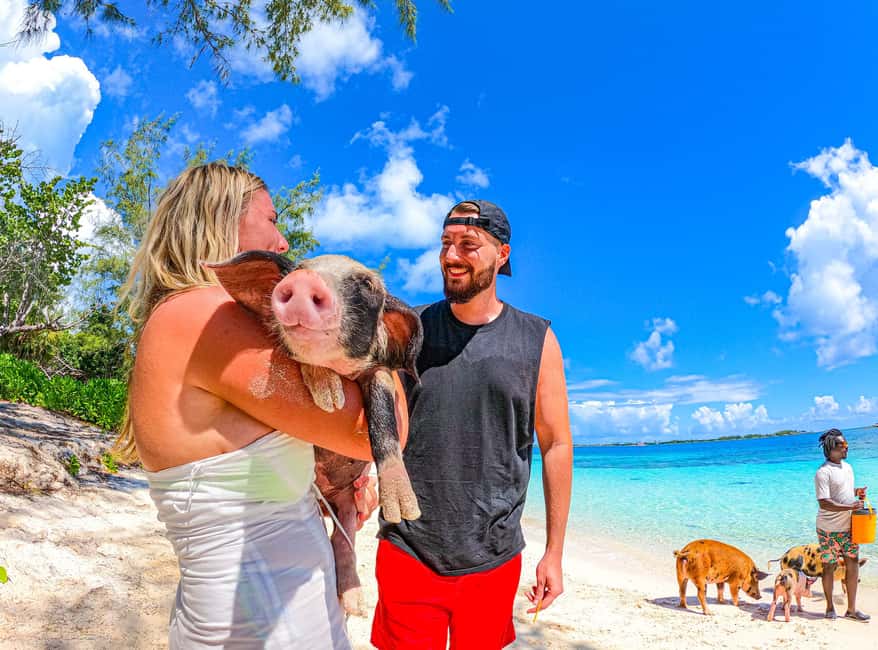 Nassau: Pigs Beach Trip by Boat with Swimming and Feeding - Practical tips for a better pig encounter