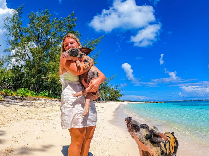 Nassau: Pigs Beach Trip by Boat with Swimming and Feeding - Who will enjoy this trip most?
