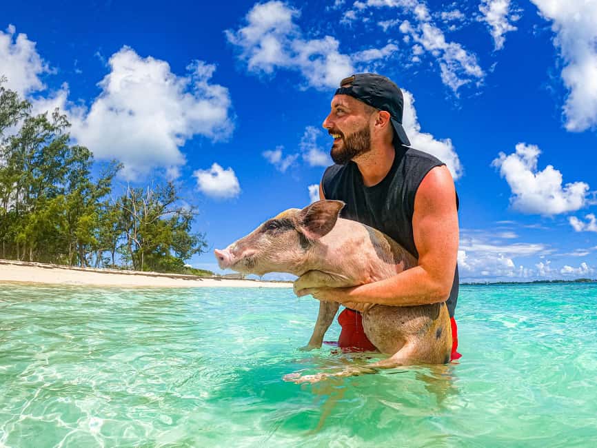 Nassau: Pigs Beach Trip by Boat with Swimming and Feeding - Meeting the famous pigs at Pig Beach