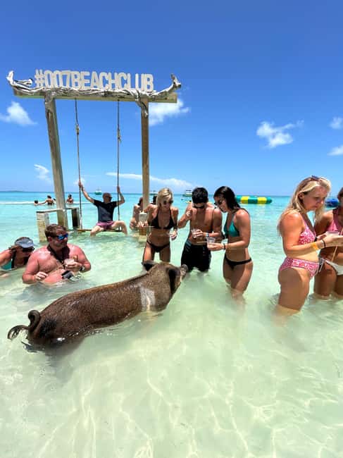 Nassau: Pigs, Snorkel, Turtles, Lunch, Private Beach Club - Starting at Margaritaville and crossing Nassau’s blue water