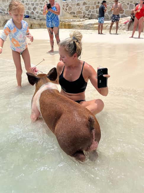 Nassau: Pigs, Snorkel, Turtles, Lunch, Private Beach Club - Green Cay and the search for turtles