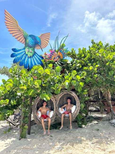 Nassau: Pigs, Snorkel, Turtles, Lunch, Private Beach Club - Oasis Ocean 7 on Rose Island