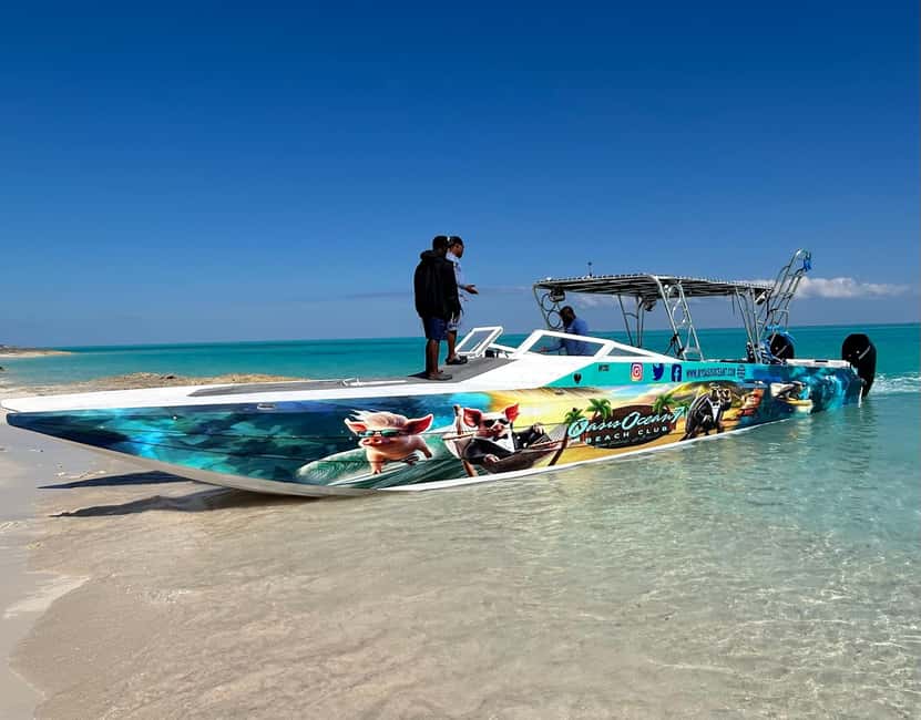 Nassau: Pigs, Snorkel, Turtles, Lunch, Private Beach Club - The four-hour timing and cruise-day value
