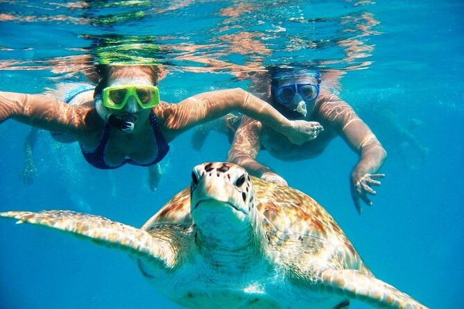 Nassau: Private Island & Snorkeling, Turtles, Drinks, & BBQ - Five things to know before you go