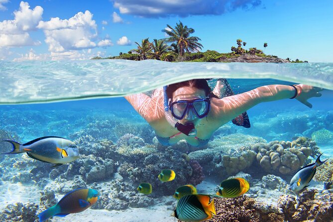 Nassau: Private Island & Snorkeling, Turtles, Drinks, & BBQ - Leaving Nassau by speedboat