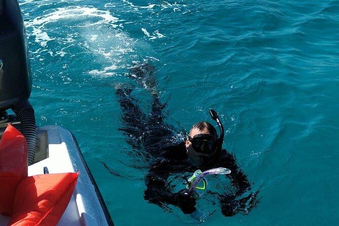 Nassau: Private Island & Snorkeling, Turtles, Drinks, & BBQ - Timing, weather, and the real rhythm of the day