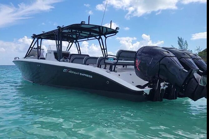 Nassau: Private Island & Snorkeling, Turtles, Drinks, & BBQ - Who will enjoy this Nassau excursion?