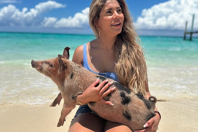 Nassau, Private Swimming Pig, Island Hopping, Snorkeling, Turtles - Green Cay: turtles and colorful reef water