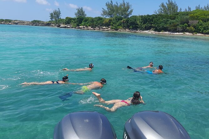 Nassau, Private Swimming Pig, Island Hopping, Snorkeling, Turtles - What the $799 price really buys you
