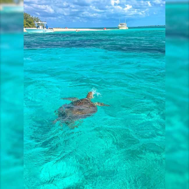 Nassau: Rose 3-Island Tour with Snorkeling and Lunch - The crew makes the difference