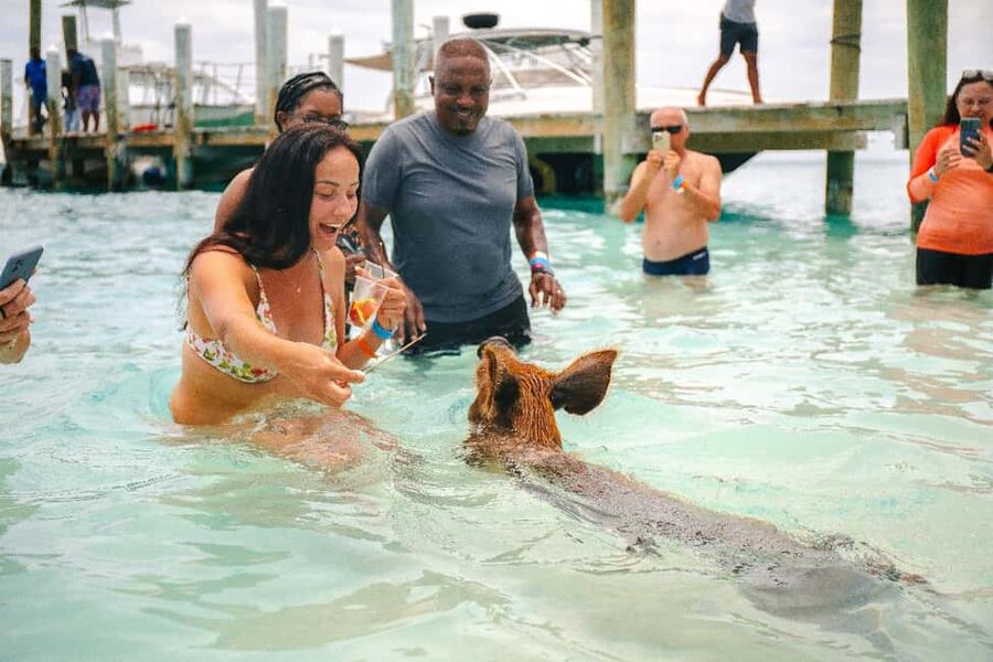 Nassau: Rose Island's Sand Dollar Beach Resort - Quick Take: What Makes This Trip Worth Considering