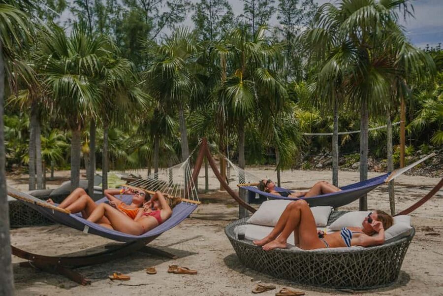 Nassau: Rose Island's Sand Dollar Beach Resort - The Swimming Pigs, With a Small Reality Check