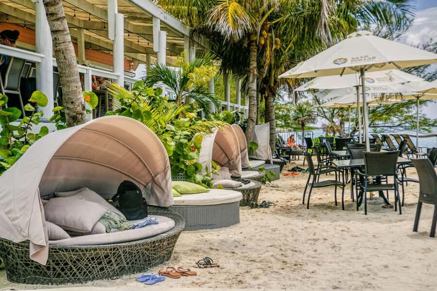 Nassau: Rose Island Swimming Pigs and Beach Day Group Tour - Is $109 a Fair Price?