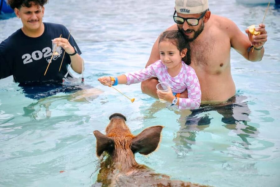 Nassau: Rose Island Swimming Pigs and Beach Day Group Tour - Finding the Right Pickup Point