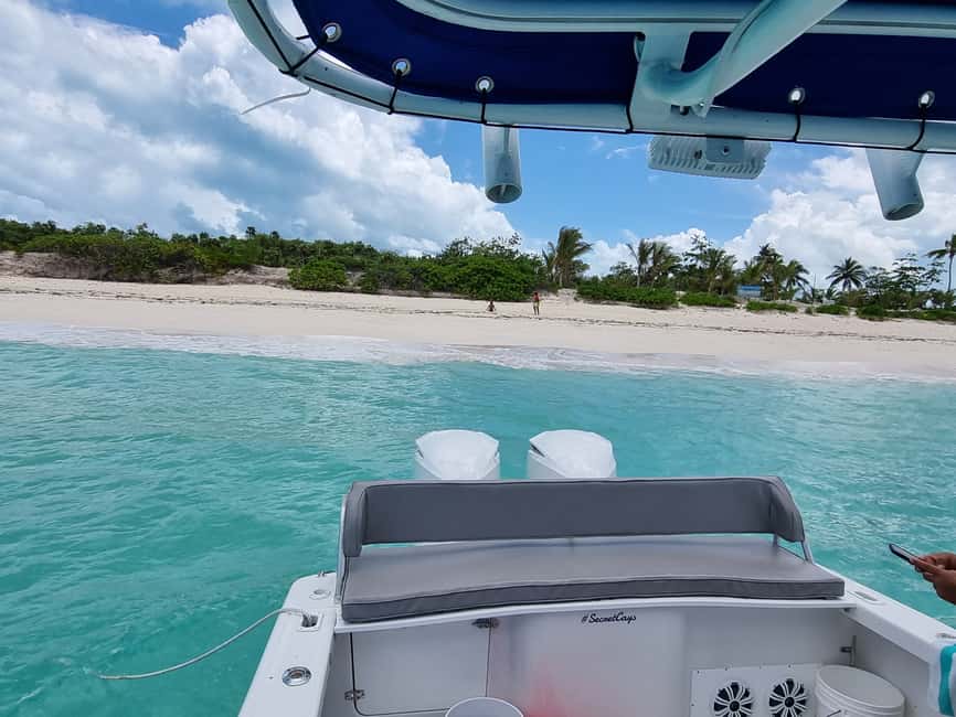 Nassau: Rose Island Swimming Pigs & Turtles Snorkeling Tour - Starting at Paradise Island Ferry Terminal