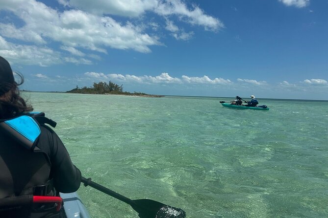 Nassau's Exclusive Kayaking Snorkeling Beach Adventure (6 Max) - Reef snorkeling with fish, rays, and turtles