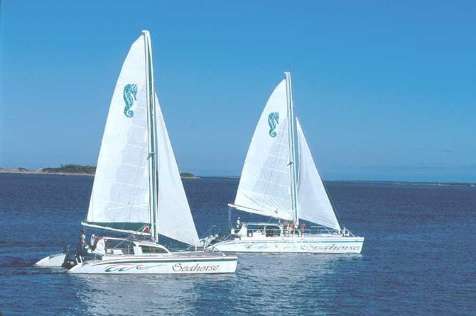 Nassau Sail & Snorkel Adventure with 1 Hour Open Bar - Who will enjoy this Nassau excursion most