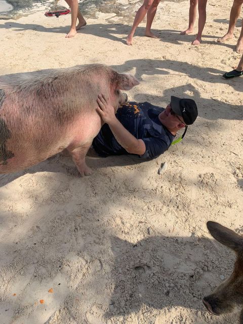 Nassau: Self-Drive Speedboat Ride and Pig Swimming Encounter - Is $120 Per Person Good Value?