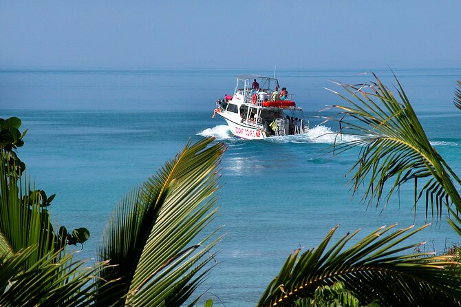Nassau Shore Excursion: Bahamas Snorkel Adventure - Who should book this Nassau excursion?