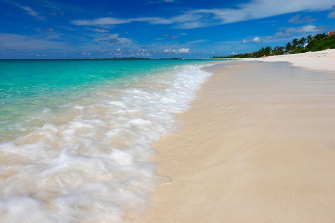 Nassau Shore Excursion: Sightseeing and Snorkeling Tour - Meeting your guide outside Nassau’s cruise terminal