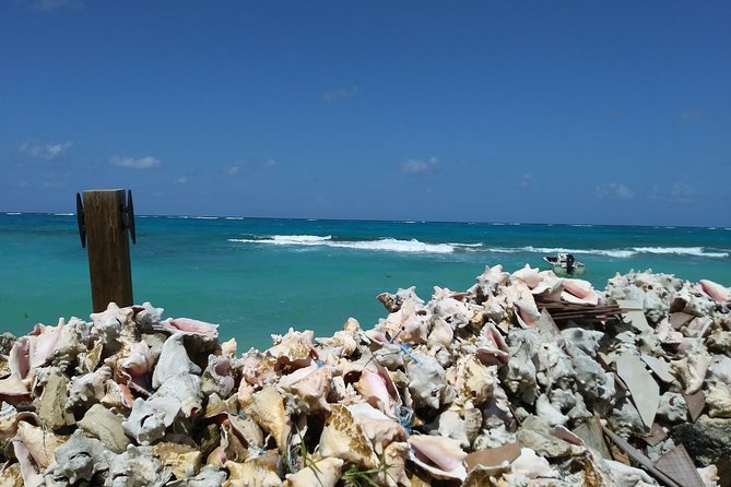 Nassau Shore Excursion: Sightseeing and Snorkeling Tour - The Caves of New Providence and Nassau’s western shore