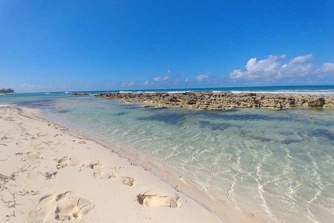Nassau Shore Excursion: Sightseeing and Snorkeling Tour - A sweet 20 minutes at Graycliff Chocolatier